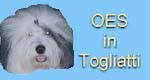 OES in Togliatti