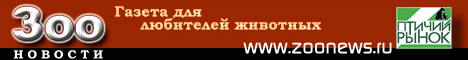 Зоо новости - газета для любителей животных